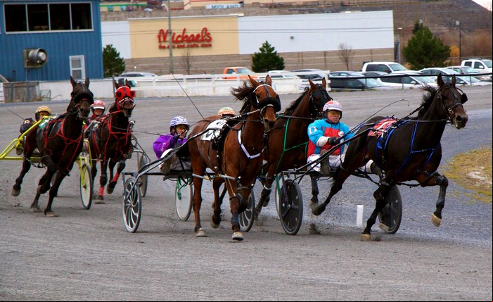 Fredericton Raceway