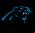Carolina Panthers