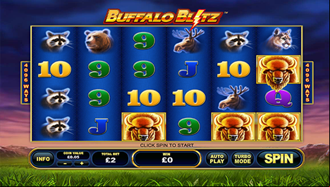 Buffalo Blitz Main