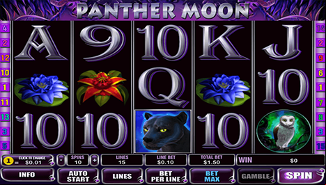 Panther Moon Main