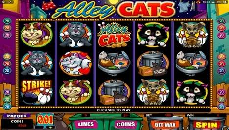 Alley Cats Slot at Platinum Play