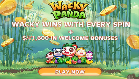 Wacky Panda Main