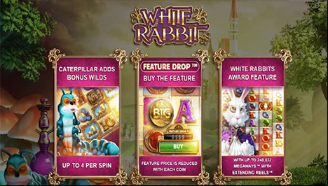 White Rabbit Main