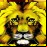 Lion (Wild)