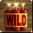 Dynamite (wild)