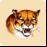 Mountain Lion/Big Cat