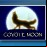 Coyote (Wild)