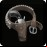 Pistol and Holster