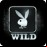 Playboy bunny logo