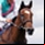 Enable