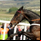 Sprinter Sacre